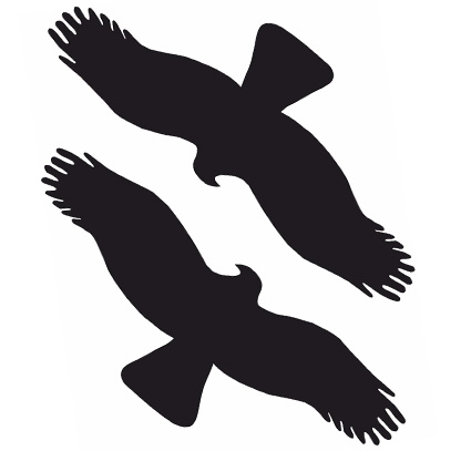 Samolepiace siluety dravcov na okná Samolepiace siluety dravcov na okná