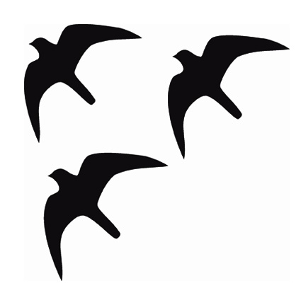 Samolepiace siluety dravcov na okná Samolepiace siluety dravcov na okná