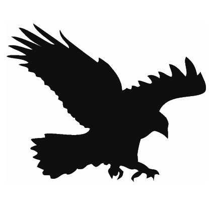 Samolepiace siluety dravcov na okná Samolepiace siluety dravcov na okná