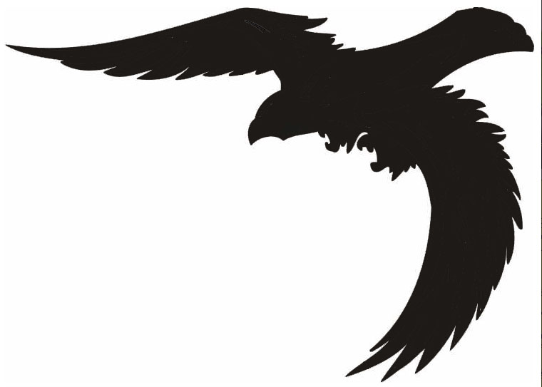 Samolepiace siluety dravcov na okná Samolepiace siluety dravcov na okná