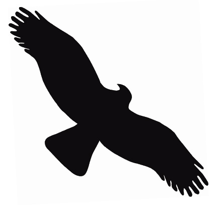 Samolepiace siluety dravcov na okná Samolepiace siluety dravcov na okná