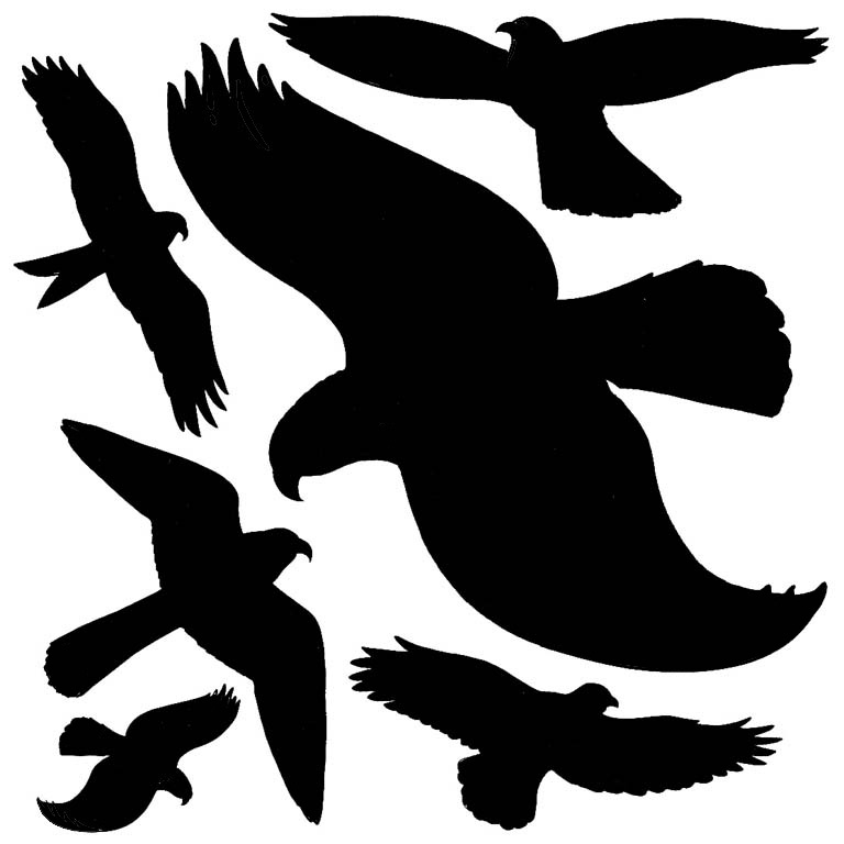 Samolepiace siluety dravcov na okná Samolepiace siluety dravcov na okná