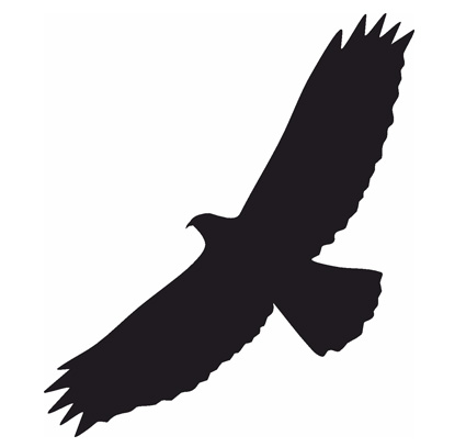 Samolepiace siluety dravcov na okná Samolepiace siluety dravcov na okná