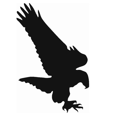 Samolepiace siluety dravcov na okná Samolepiace siluety dravcov na okná