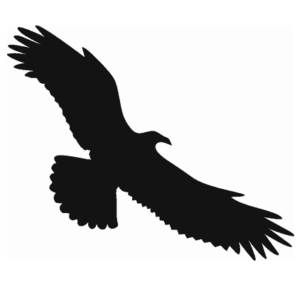 Samolepiace siluety dravcov na okná Samolepiace siluety dravcov na okná