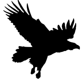 Samolepiace siluety dravcov na okná Samolepiace siluety dravcov na okná