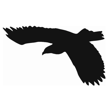 Samolepiace siluety dravcov na okná Samolepiace siluety dravcov na okná